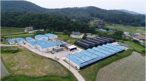 Gosam Plant 2