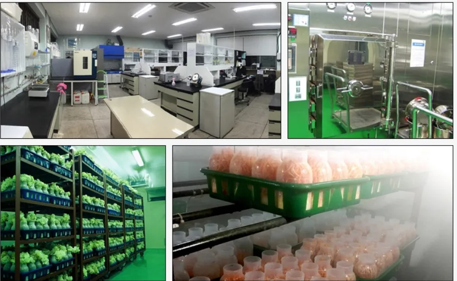 Corporate R&D Center