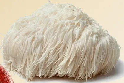 Lion's mane